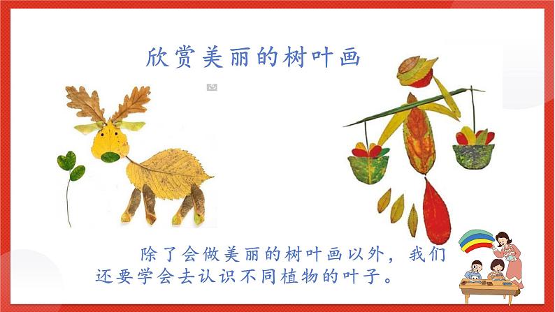 教科版科学一上1.4《这是谁的叶》课件第3页