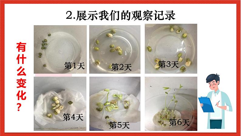 教科版科学一上1.5《植物是活的吗》课件+素材06