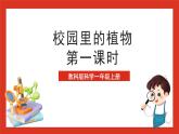 教科版科学一上1.6 《校园里的植物》课件+素材