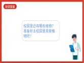 教科版科学一上1.6 《校园里的植物》课件+素材