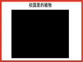 教科版科学一上1.6 《校园里的植物》课件+素材