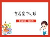教科版科学一上2.1 《在观察中比较》课件+素材