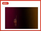 教科版科学一上2.1 《在观察中比较》课件+素材