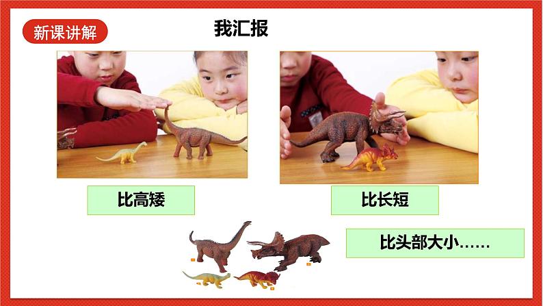 教科版科学一上2.1 《在观察中比较》 课件第7页