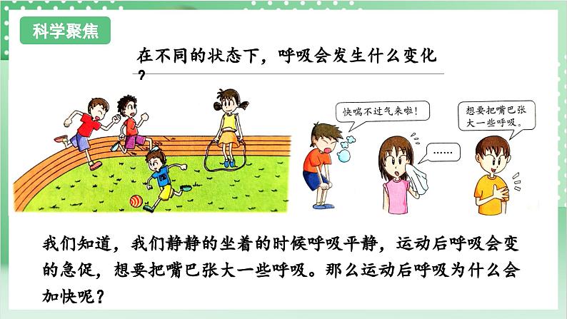 教科版科学四年级上册2.2 《呼吸与健康生活》课件+教案+素材03