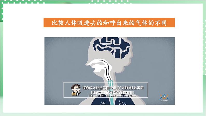 教科版科学四年级上册2.2 《呼吸与健康生活》课件+教案+素材05