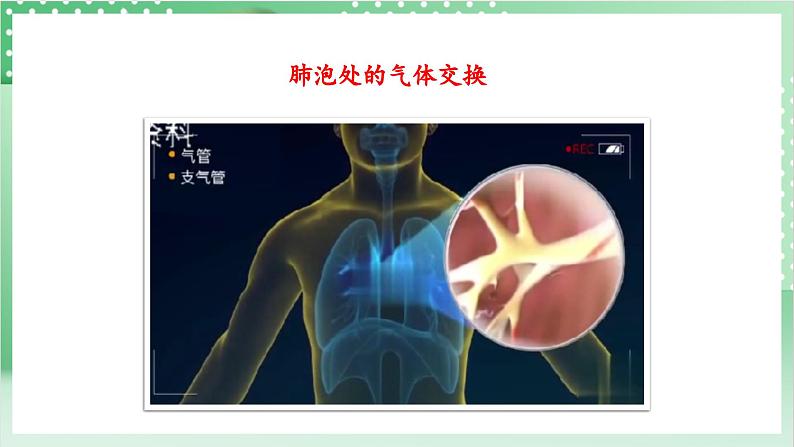 教科版科学四年级上册2.2 《呼吸与健康生活》课件+教案+素材08