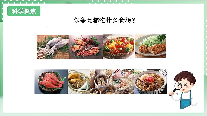 教科版科学四年级上册2.4 《一天的食物》 课件+教案+素材03