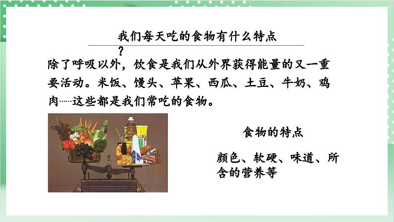 教科版科学四年级上册2.4 《一天的食物》 课件+教案+素材04