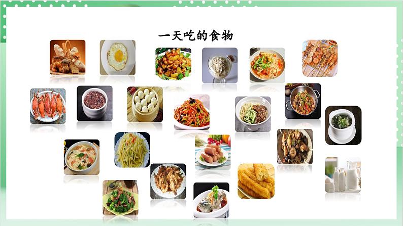 教科版科学四年级上册2.4 《一天的食物》 课件+教案+素材08