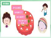 教科版科学四年级上册2.5 《食物中的营养》 课件+教案+素材