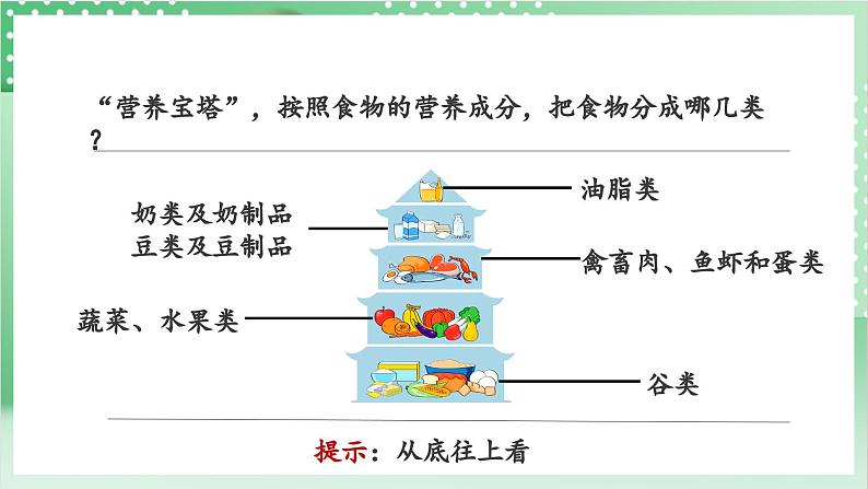 教科版科学四年级上册2.6《 营养要均衡》   课件+教案+素材07