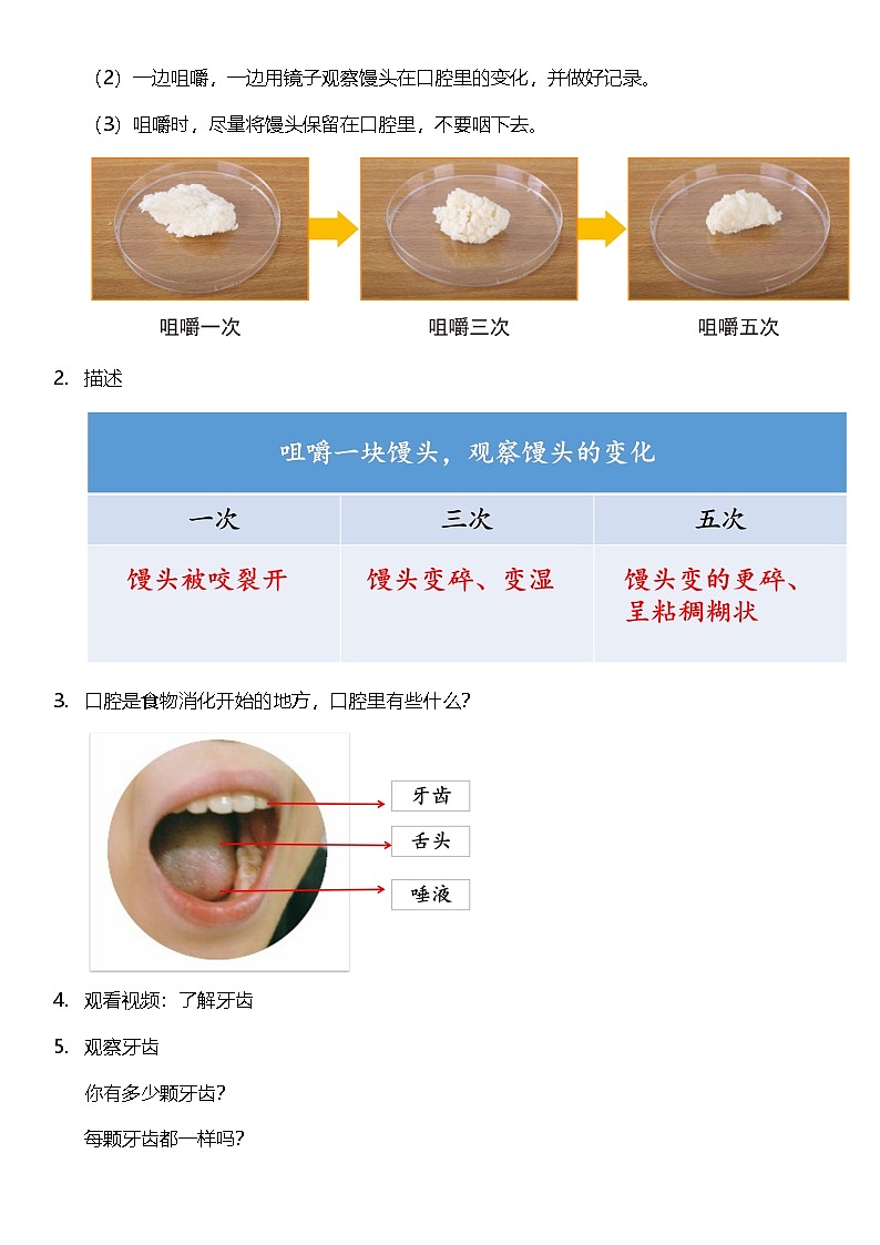 教科版科学四年级上册2.7《 食物在口腔里的变化 》 课件+教案+素材02