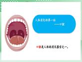 教科版科学四年级上册2.7《 食物在口腔里的变化 》 课件+教案+素材
