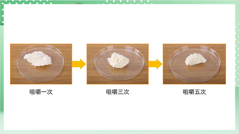 教科版科学四年级上册2.7《 食物在口腔里的变化 》 课件+教案+素材07