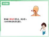 教科版科学四年级上册2.8 《食物在身体里的旅行》  课件+教案+素材