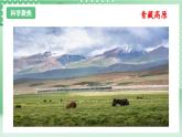 教科版科学五年级上册2.1 《地球的表面》课件+教案+素材