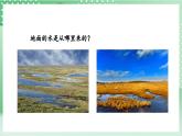 教科版科学五年级上册2.6《水的作用》课件+教案+素材
