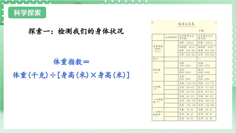 教科版科学五年级上册4.1 《我们的身体 》课件+教案+素材08