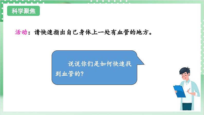 教科版科学五年级上册4.3 《心脏和血液 》 课件+教案+素材03