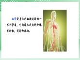 教科版科學五年級上冊4.3 《心臟和血液 》 課件+教案+素材