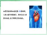 教科版科學五年級上冊4.3 《心臟和血液 》 課件+教案+素材