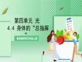 教科版科學(xué)五年級上冊4.4《 身體的“總指揮”》 課件+教案+素材