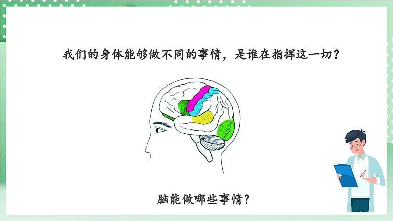 教科版科学五年级上册4.4《 身体的“总指挥”》 课件+教案+素材04