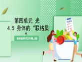 教科版科学五年级上册4.5《 身体的“联络员”》课件+教案+素材
