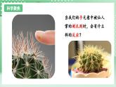 教科版科学五年级上册4.5《 身体的“联络员”》课件+教案+素材