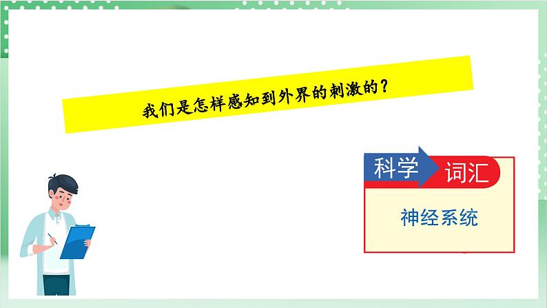 教科版科学五年级上册4.5《 身体的“联络员”》课件+教案+素材04