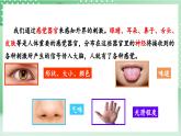 教科版科学五年级上册4.5《 身体的“联络员”》课件+教案+素材