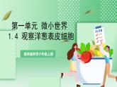 【新课标】教科版科学六年级上册1.4 《观察洋葱表皮细胞》 教学课件+教案+素材
