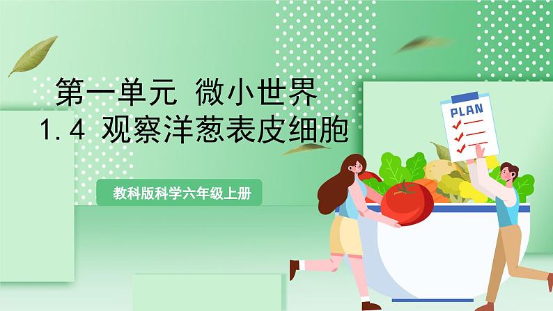教科版科学六年级上册1.4 《观察洋葱表皮细胞》 教学课件第1页