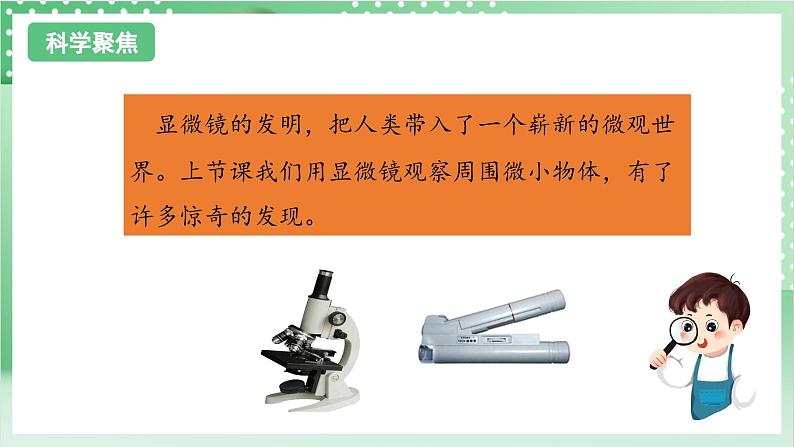 教科版科学六年级上册1.4 《观察洋葱表皮细胞》 教学课件第3页