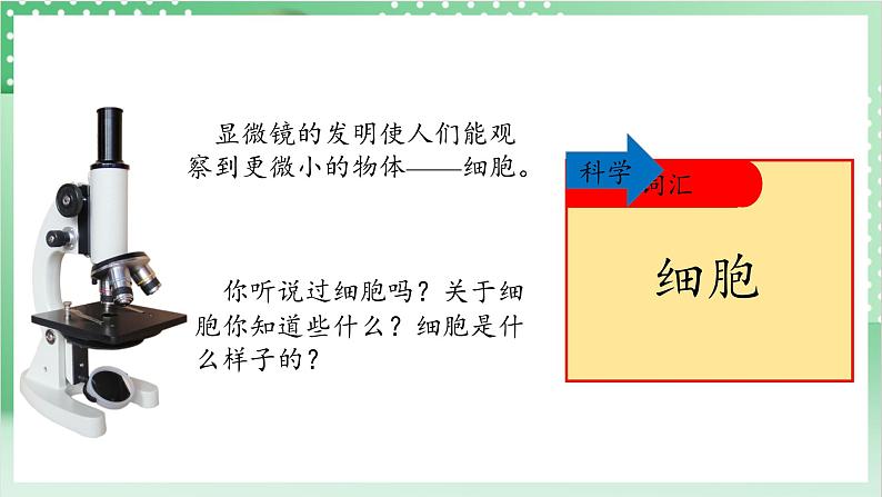 教科版科学六年级上册1.4 《观察洋葱表皮细胞》 教学课件第5页
