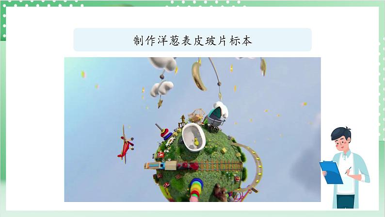 教科版科学六年级上册1.4 《观察洋葱表皮细胞》 教学课件第7页