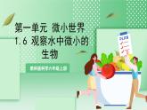 【新课标】教科版科学六年级上册1.6 《观察水中微小的生物》 教学课件+教案+素材