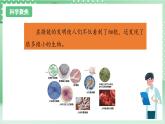 【新课标】教科版科学六年级上册1.6 《观察水中微小的生物》 教学课件+教案+素材