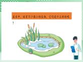 【新课标】教科版科学六年级上册1.6 《观察水中微小的生物》 教学课件+教案+素材