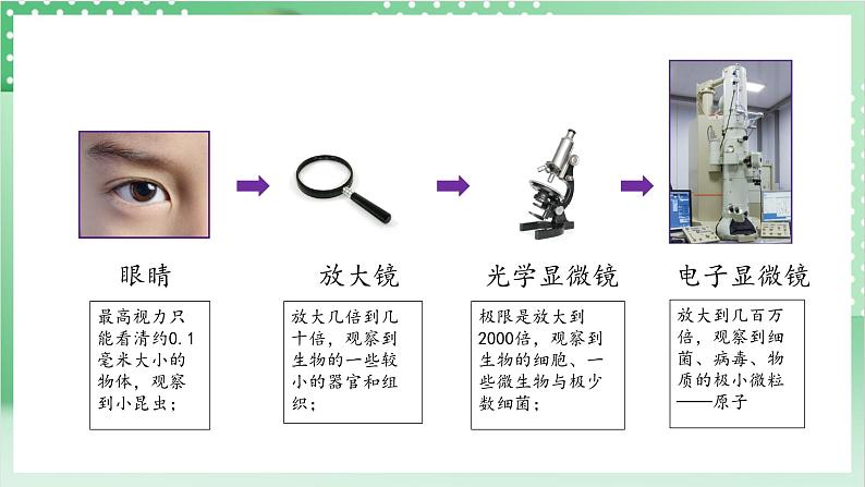 【新课标】教科版科学六年级上册1.7 《微生物与健康》  教学课件+教案+素材04