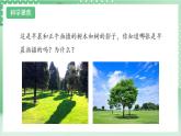 【新课标】教科版科学六年级上册2.5 《影长的四季变化》教学课件+教案+素材