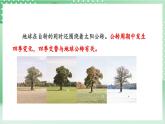 【新课标】教科版科学六年级上册2.7 《昼夜和四季变化对生物的影响》 教学课件+教案+素材