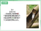 【新課標(biāo)】教科版科學(xué)六年級(jí)上冊(cè)3.2 《斜面》教學(xué)課件+教案+素材