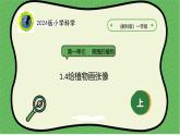 4【2024新教材】教科版科学一年级上册第1单元周围的植物1.4给植物画张像课件