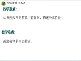 4【2024新教材】教科版科学一年级上册第1单元周围的植物1.4给植物画张像课件