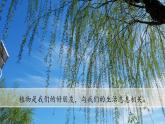 （2024新课标）教科版科学一年级上册-7 科学阅读 多样的植物-PPT课件+视频图片素材+教学设计