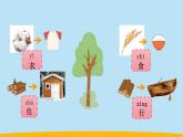 （2024新课标）教科版科学一年级上册-7 科学阅读 多样的植物-PPT课件+视频图片素材+教学设计