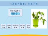 （2024新课标）教科版科学一年级上册-7 科学阅读 多样的植物-PPT课件+视频图片素材+教学设计