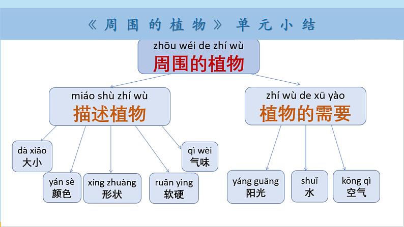 （2024新课标）教科版科学一年级上册-7 科学阅读 多样的植物-PPT课件+视频图片素材+教学设计06